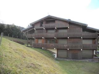 Les Hauts de Plommaz - Combloux - 2