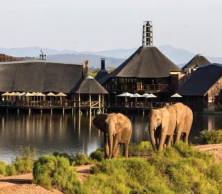 Buffelsdrift Game Lodge - Oudtshoorn - 9