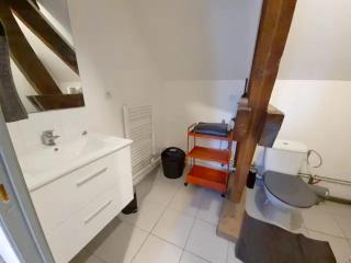 Appartement charmant à Beaugency, 60 m² + Douche moderne - Beaugency - 3