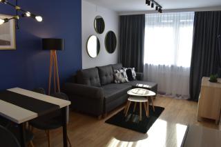 Apartament w centrum przy parku na Wyspie - Piła - 9