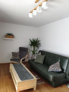 Rupicapra - Zakopane - 8