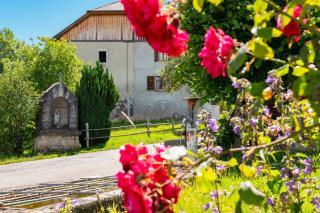 Votre studio balnéo bien-être à la montagne - Thollon-les-Mémises - 3