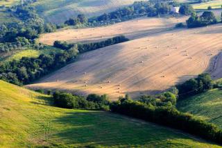 Agriturismo Fara - 2