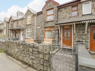 TurTwig Cottage - Blaenau-Ffestiniog - 0