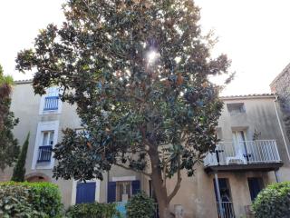 Appartement de charme sur le Port de Marseillan - Marseillan - 2