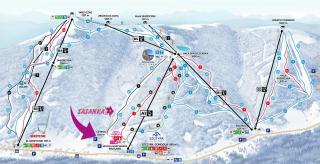 Sasanka przy Gondoli - 6