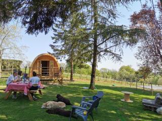 La Cabane Insolite - 7