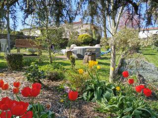 La Cabane Insolite - 2