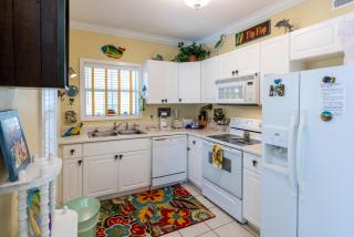 Purple Parrot 37Cd By Pkrm - 2