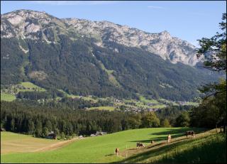 Kalßnhof - Bad Aussee - 4