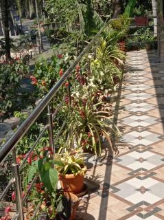 Jerone's Home Stay - 8