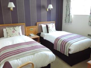 Falcon Hotel - Carmarthen - 9