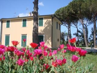 Casa Vacanze Vignarca - Località Perelli - 9