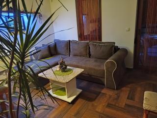 Smiley Apartman - Vrnjačka Banja - 0