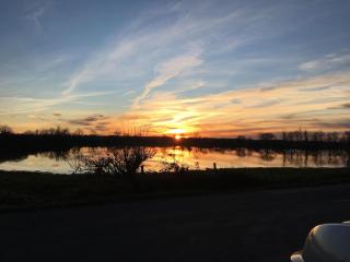 Les feuilles jaunes - Chantenay-Saint-Imbert - 2