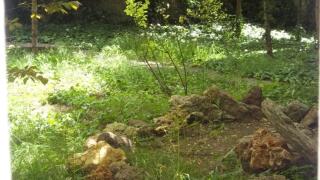 34 Yüksel Garden - Ankara - 1