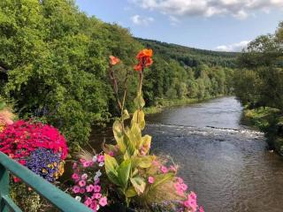 Le Chalet Castor - Camping International - Bomal - Durbuy - Bomal - 3