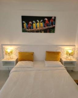 Hello Guyane (4), Suite Junior Luxury, 5 étoiles - Cayenne - 1