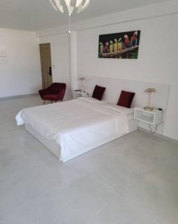 Hello Guyane, Suite Collection (5), 5 étoiles. - Cayenne - 9