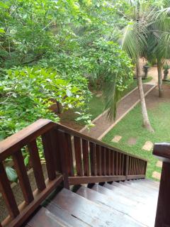 Liyana Holiday resort - Anuradhapura - 8