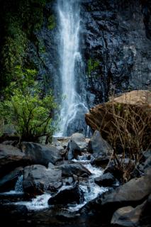 The Postcard Hideaway, Netravali Wildlife Sanctuary, Goa - 7