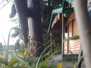 Bluepine Cottages Pangot by Nature Nests - 9