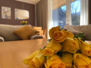 JZ Apartments - Pohorje - Maribor - 0