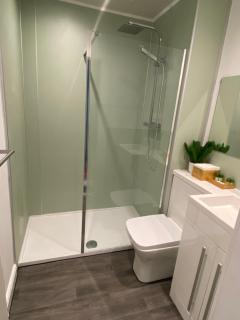 Newly refurbished town centre apartment - 1