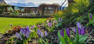 The Castle Hotel - 3