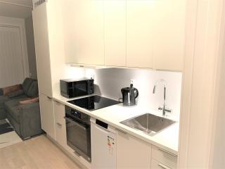 Scandpoint Apartments OSLO ski in ski out all year in SNOOSLO with Free Parking - Høybråten - 5