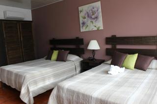 Hotel Arenal by Regina - Fortuna - 6