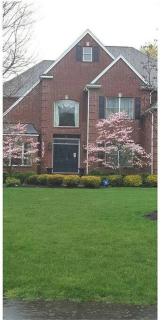 Comfortable, spacious, 1bdrm basement apartment, sleeps 4 - Milton - 0