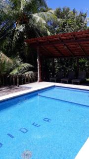 Iguana Libre - Dominical - 0