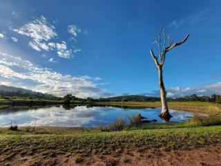 KINCLAVEN ESCAPES Farm Stay - Wine Region - Family - Harewood - 8