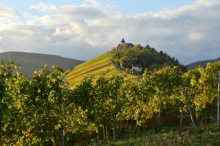 Weingut Rosenbaum - Briedel - 8
