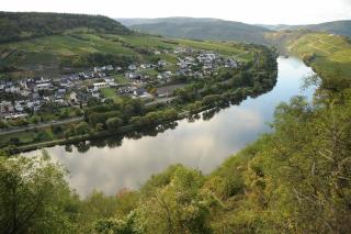 Weingut Rosenbaum - Briedel - 7