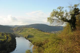 Weingut Rosenbaum - Briedel - 6