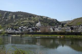 Weingut Rosenbaum - Briedel - 3