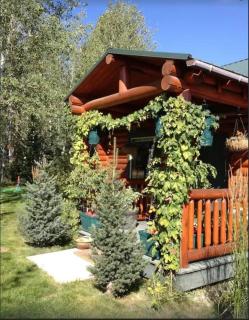 Lazy Fox Cabin - West Yellowstone - 5