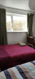 Toad Hall Hostel - 4