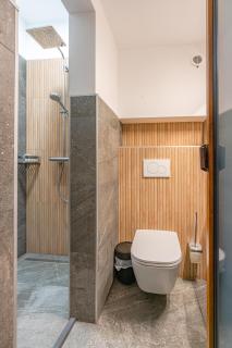 premium suites Postavarului - 1