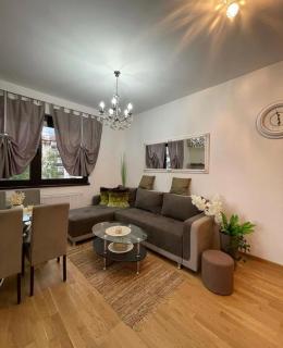 Zlatibor Apartman EnaStefan - Zlatibor - 6