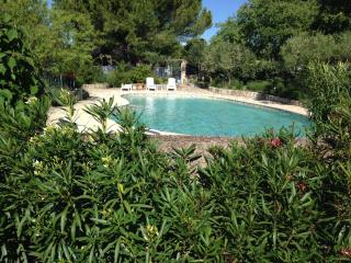 Location, piscine, jardin cloture, animaux acceptes, parking, wifi - Lorgues - 1