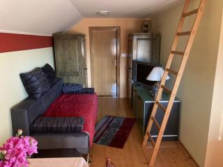 Vineyard Cottage Slanc - 2