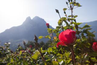HOSTAL RURAL CAL XIC Saldes - Saldes - 6