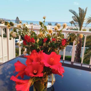 SWEET HOME CORAL BAY SEA VIEW 3 Stocks Paphos Peyia - Peyia - 4