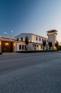 PenziónZemianskyDvor - Veľké Šúrovce - 7