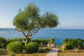 Villa Alice - Kassiopi - 1
