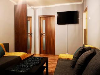 Apartament Nowowierzbowa 16 Zawiercie - Zawiercie - 9