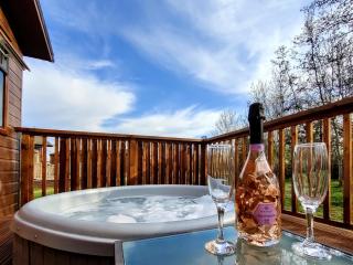 Deneb Lodge with Hot Tub - 8